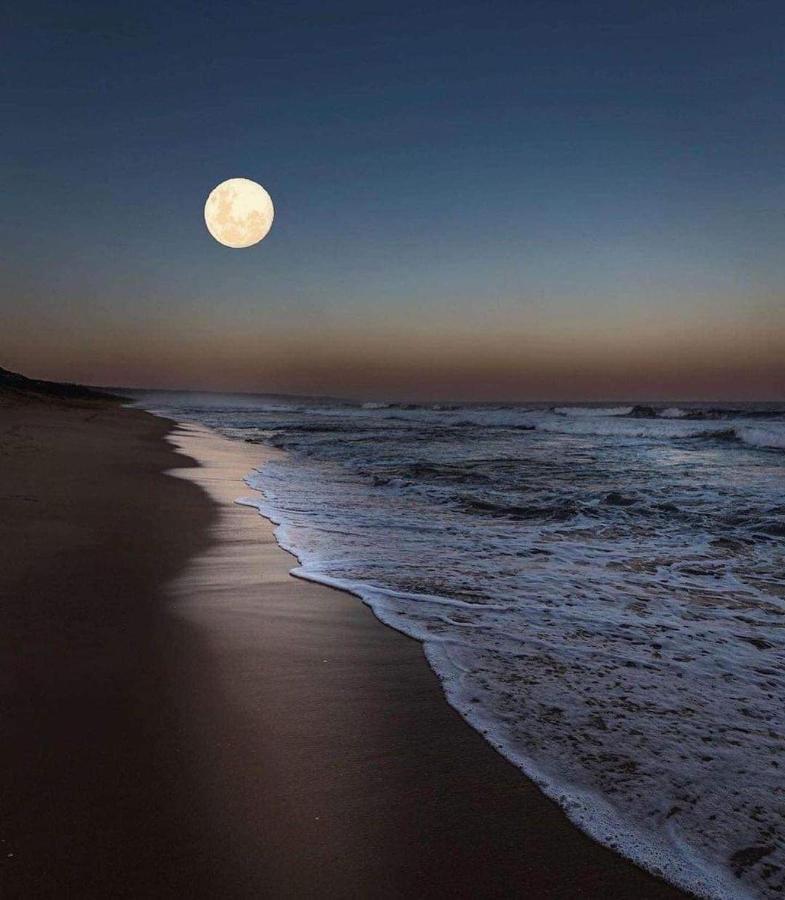 Casa Verde Cabo Frio Eksteriør bilde